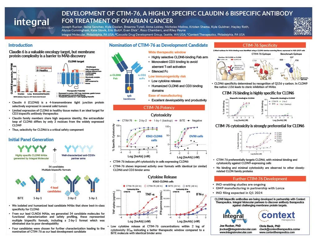 Development of CTIM-76, a highly specific Claudin 6 bispecific